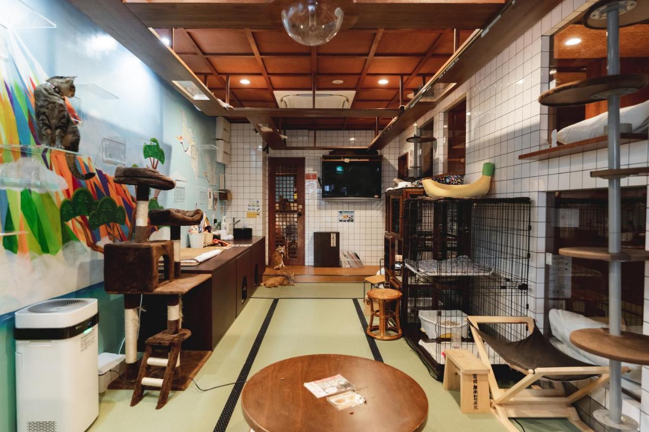 Auberge de jeunesse Cat & Cat By Neco Republic Ōsaka