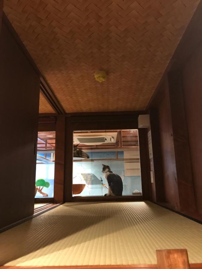 Auberge de jeunesse Cat & Cat By Neco Republic