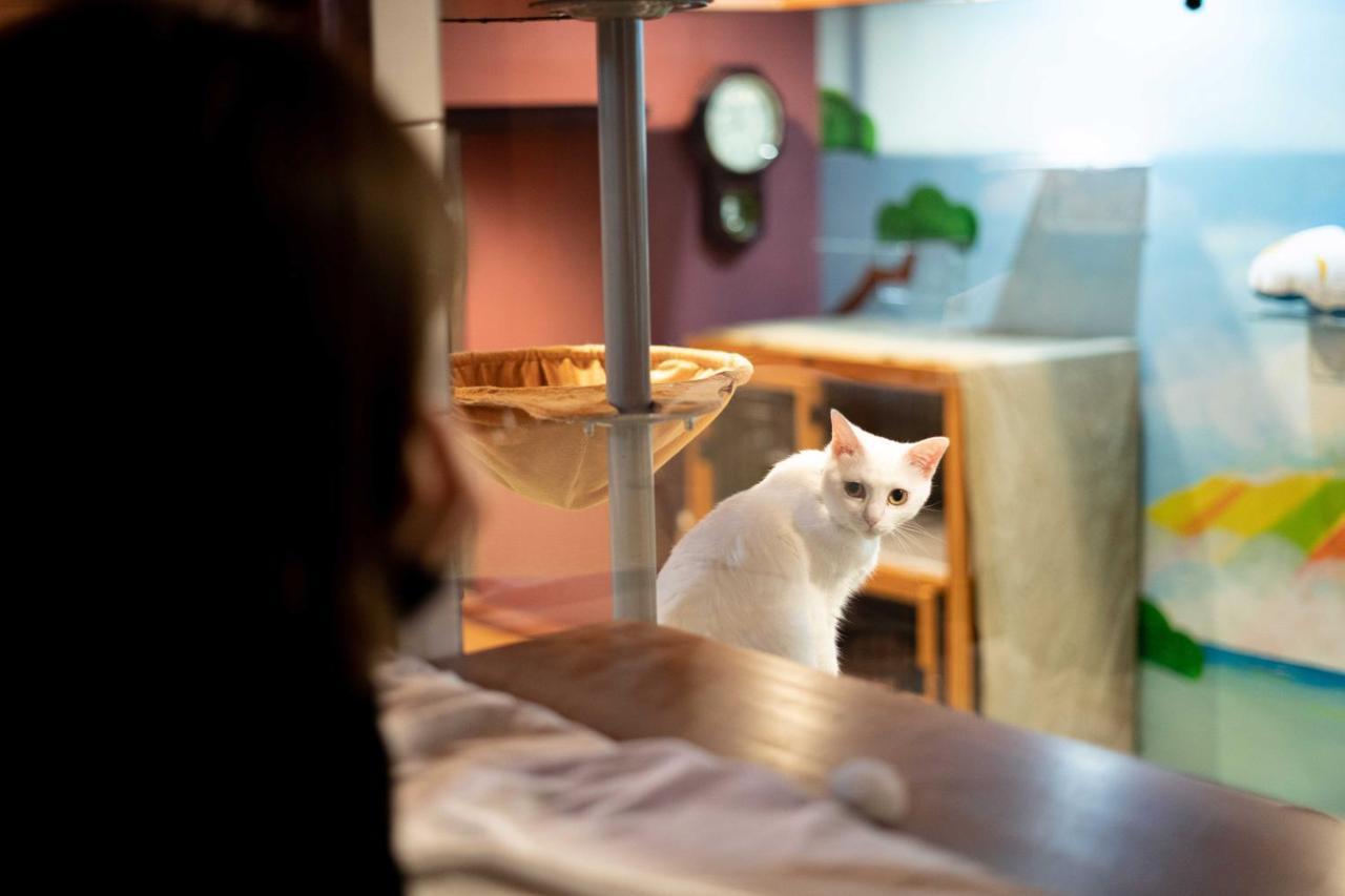 Auberge de jeunesse Cat & Cat By Neco Republic
